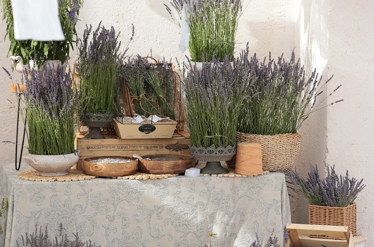 Lavander & salt table
