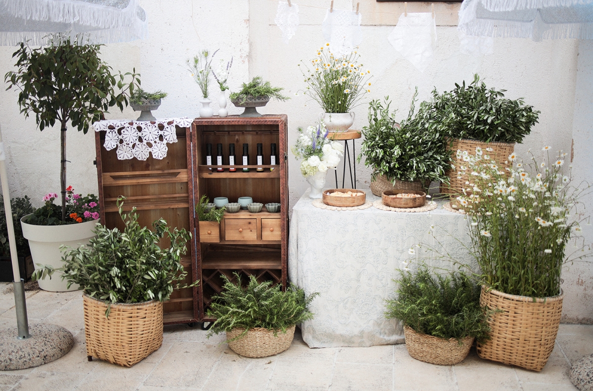 Olive tasting table