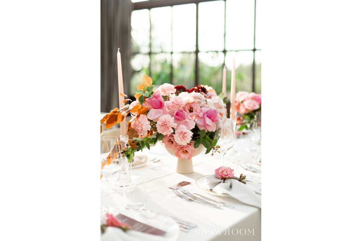 Luxury autumn wedding in San Canziano, Istria