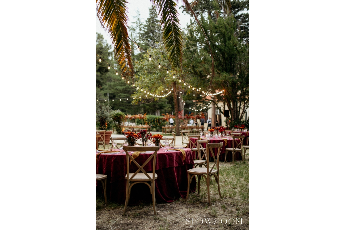 Four elements - one love! Wedding in the embrace of earth, air, fire and water