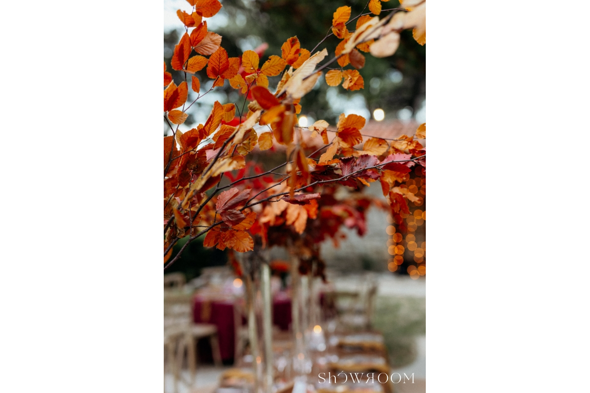 Four elements - one love! Wedding in the embrace of earth, air, fire and water