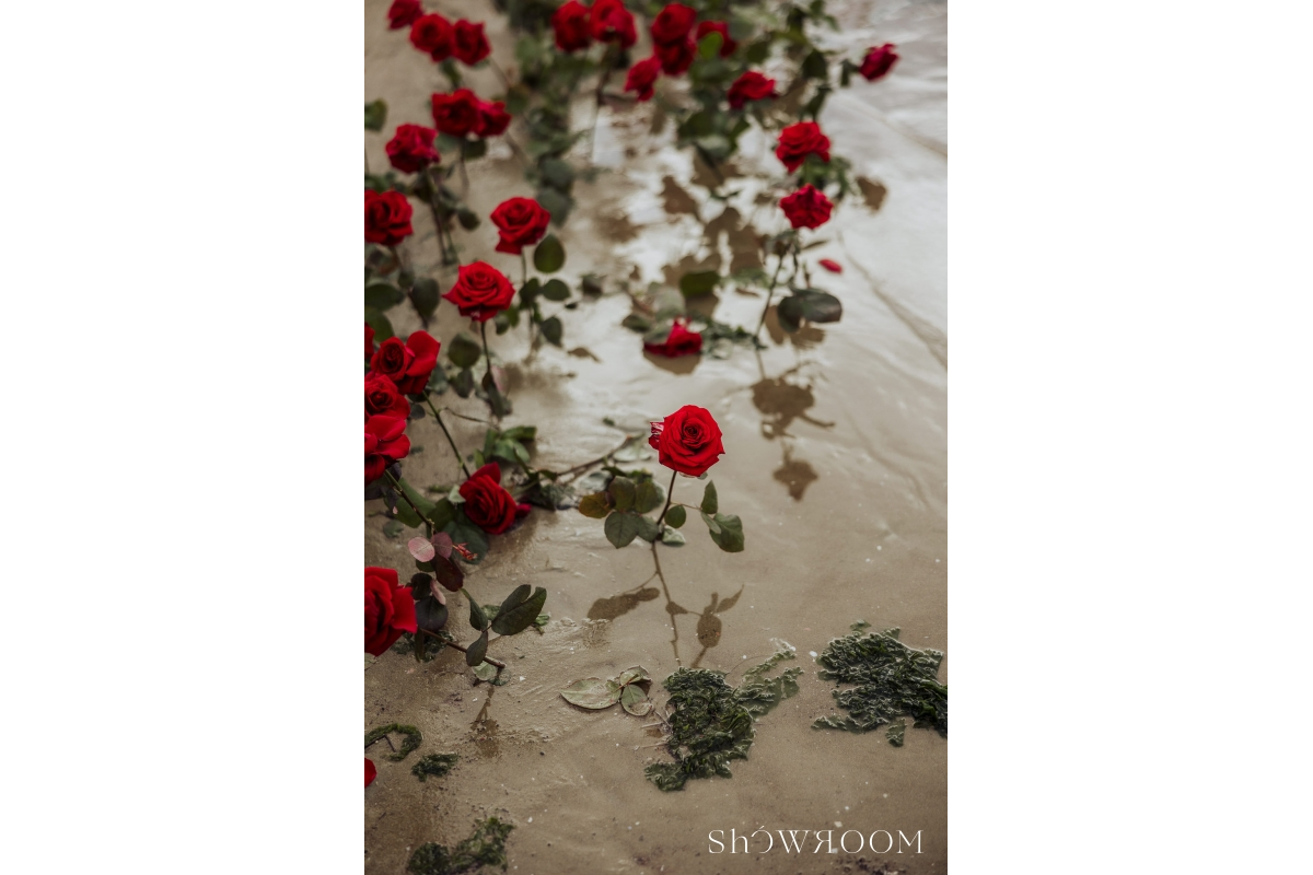 Lavish escape: Theatrical wedding of love and freedom