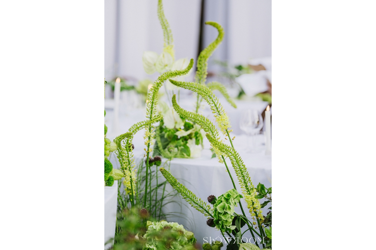 Beyond imagination: Matrix inspired wedding design